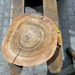 Rosewood Schijf, Dikte 75mm, Ø 400mm